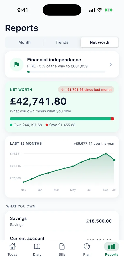 Expense Diary on iPhone: Net worth. What you own minus what you owe, month by month, with the road to financial independence beneath.